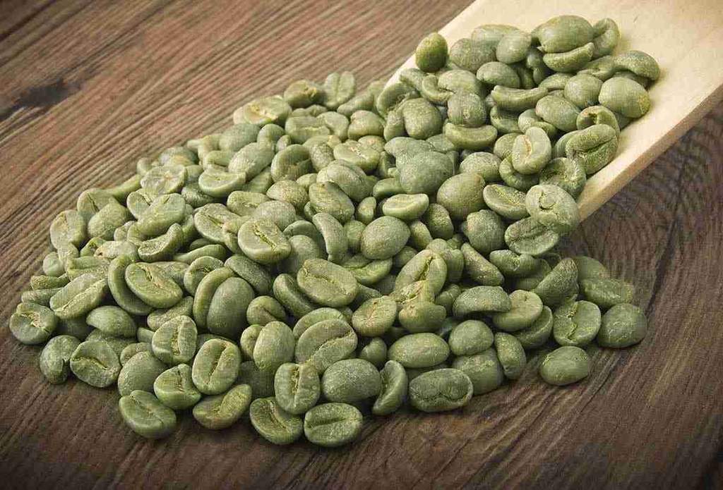 Green Coffee Beans – How to Make the Best Cup of Coffee of Your Life 41