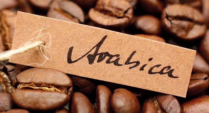 Best Arabica Coffee Beans